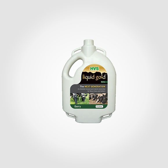 HVS Liquid Gold Dairy 5 - HVS Animal Health